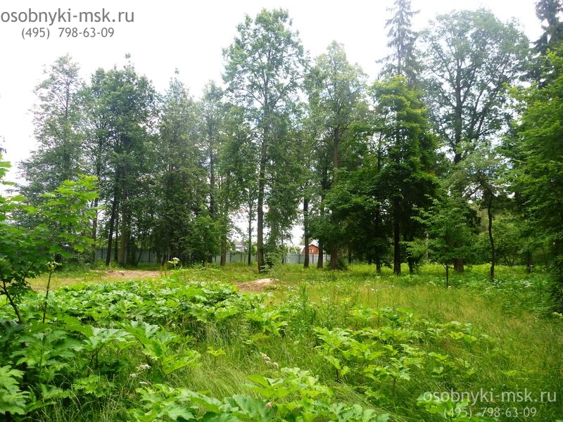 Участок в поселке Шишкин лес